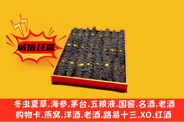 和田地区皮山县回收海参